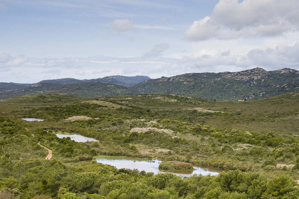 Vue du plateau de Campu celi et de trois mares temporaires de la réserve naturelle